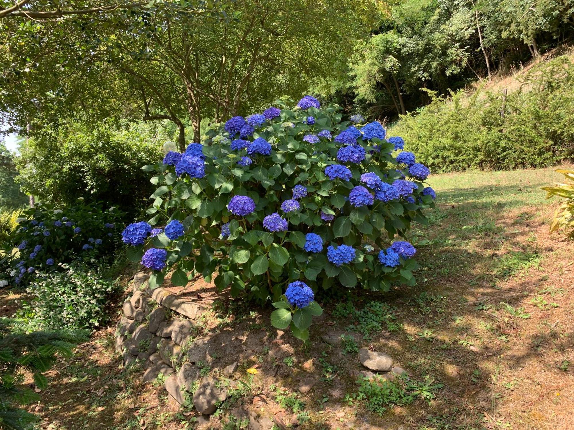 Podere Campofossato ปิสโตยา ภายนอก รูปภาพ
