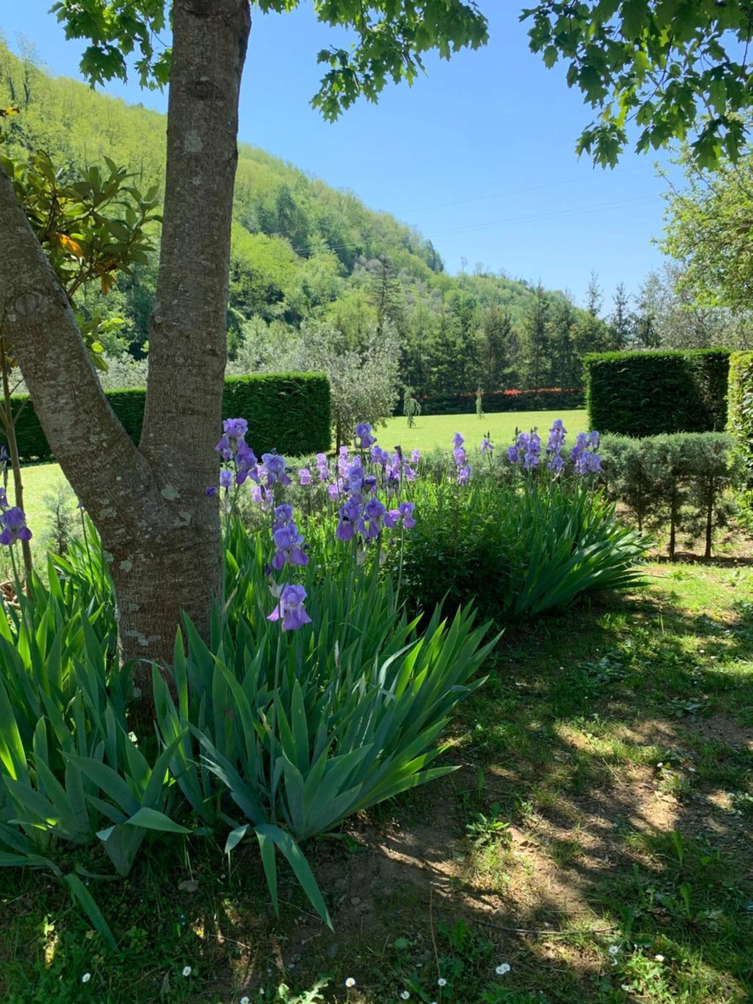 Podere Campofossato ปิสโตยา ภายนอก รูปภาพ