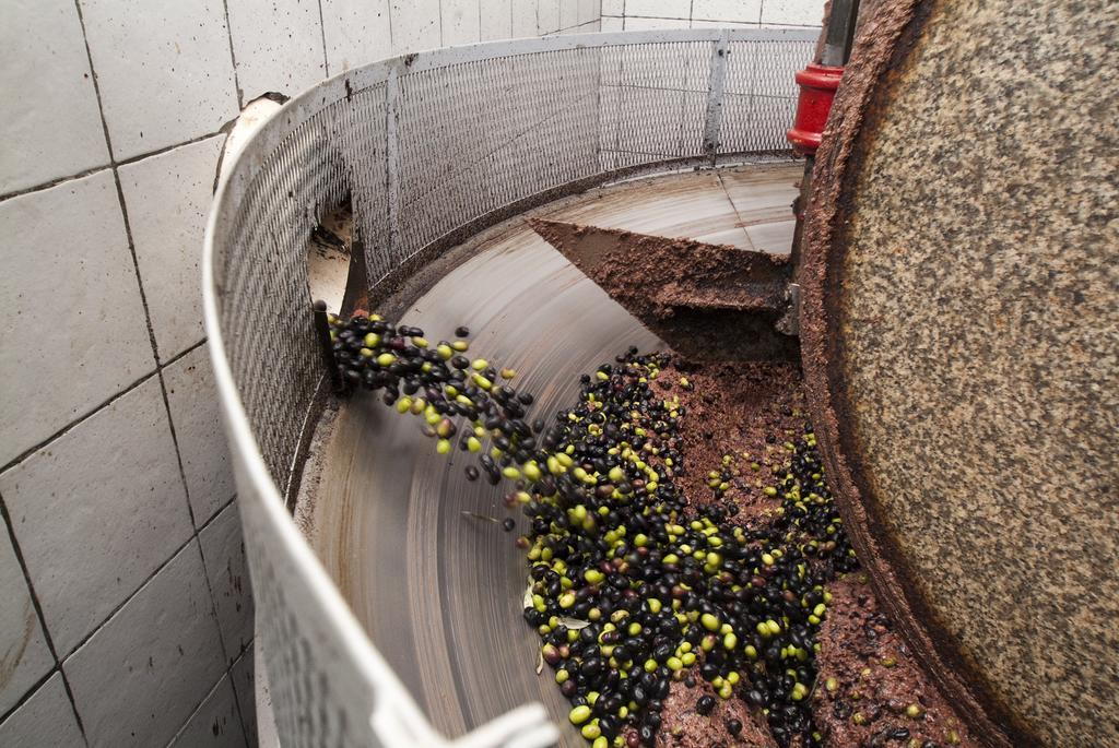 Podere Campofossato ปิสโตยา ภายนอก รูปภาพ