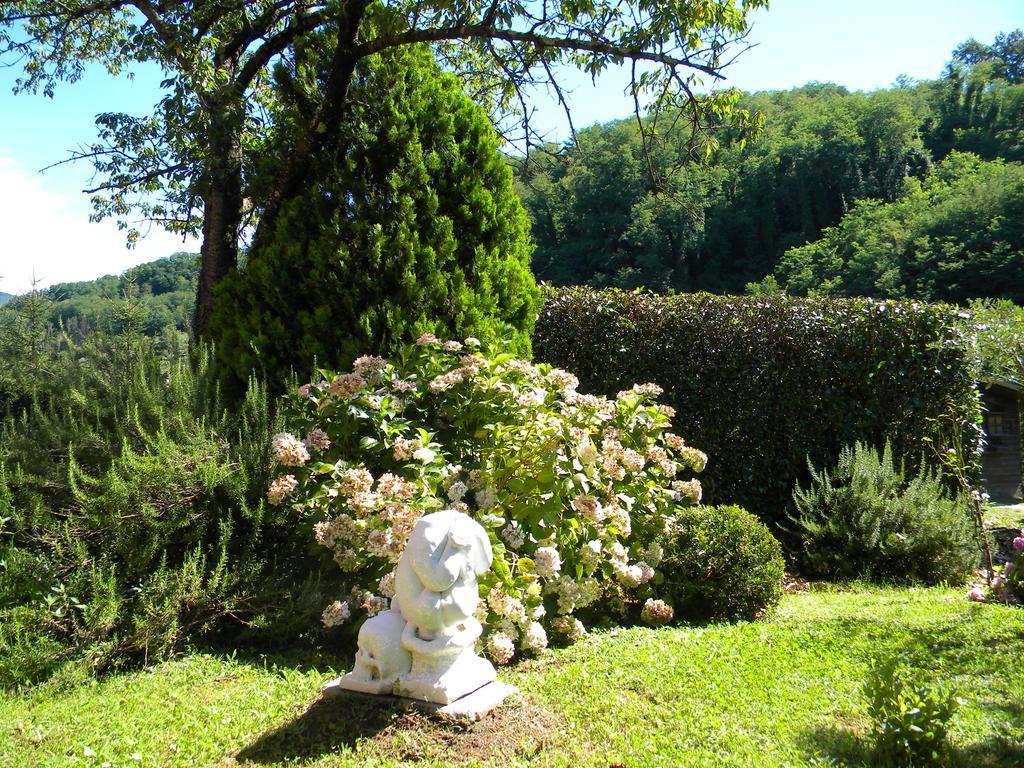 Podere Campofossato ปิสโตยา ภายนอก รูปภาพ