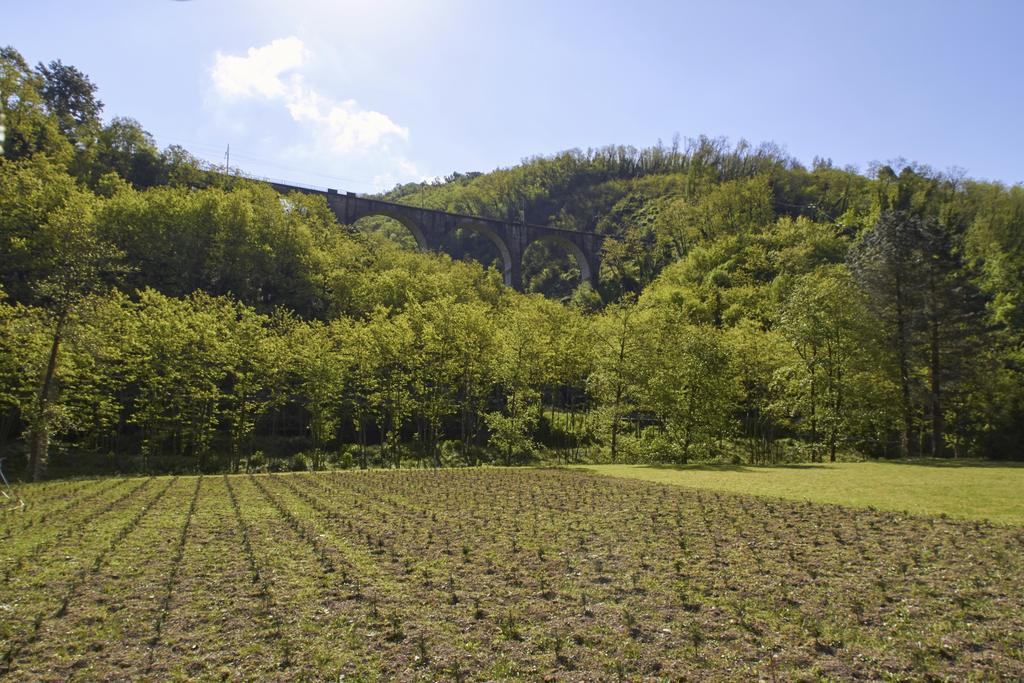 Podere Campofossato ปิสโตยา ภายนอก รูปภาพ