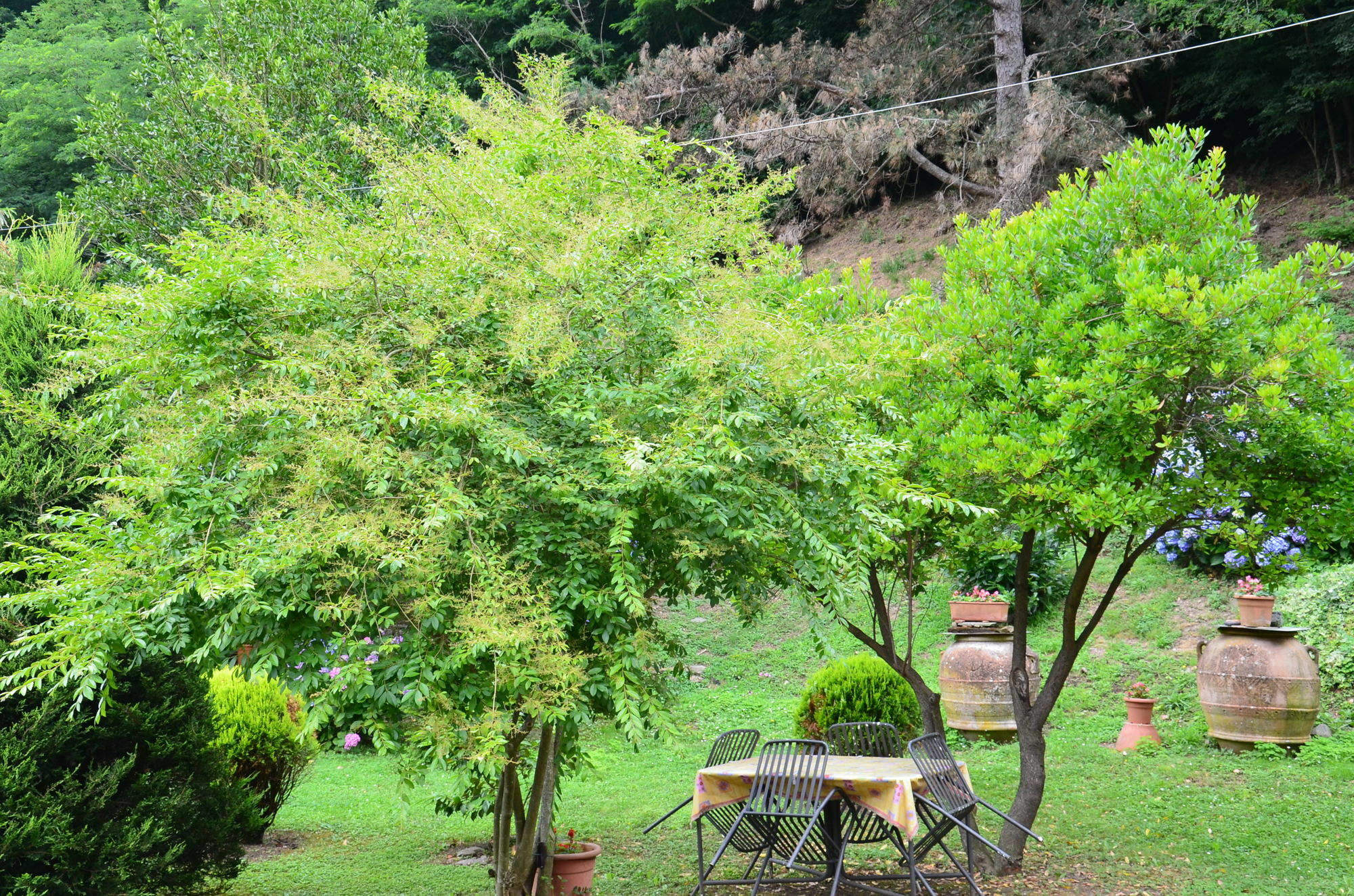 Podere Campofossato ปิสโตยา ภายนอก รูปภาพ
